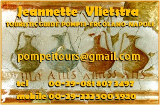 contact card pompeiitours